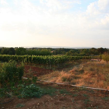 Apartments Paninich Međugorje 외부 사진